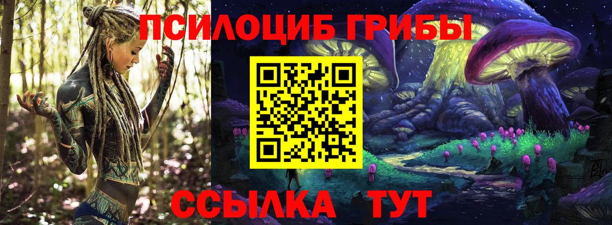 Псилоцибиновые грибы Cubensis  Вход с VPN  Домодедово 